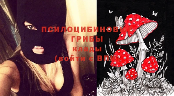 бутират Аркадак